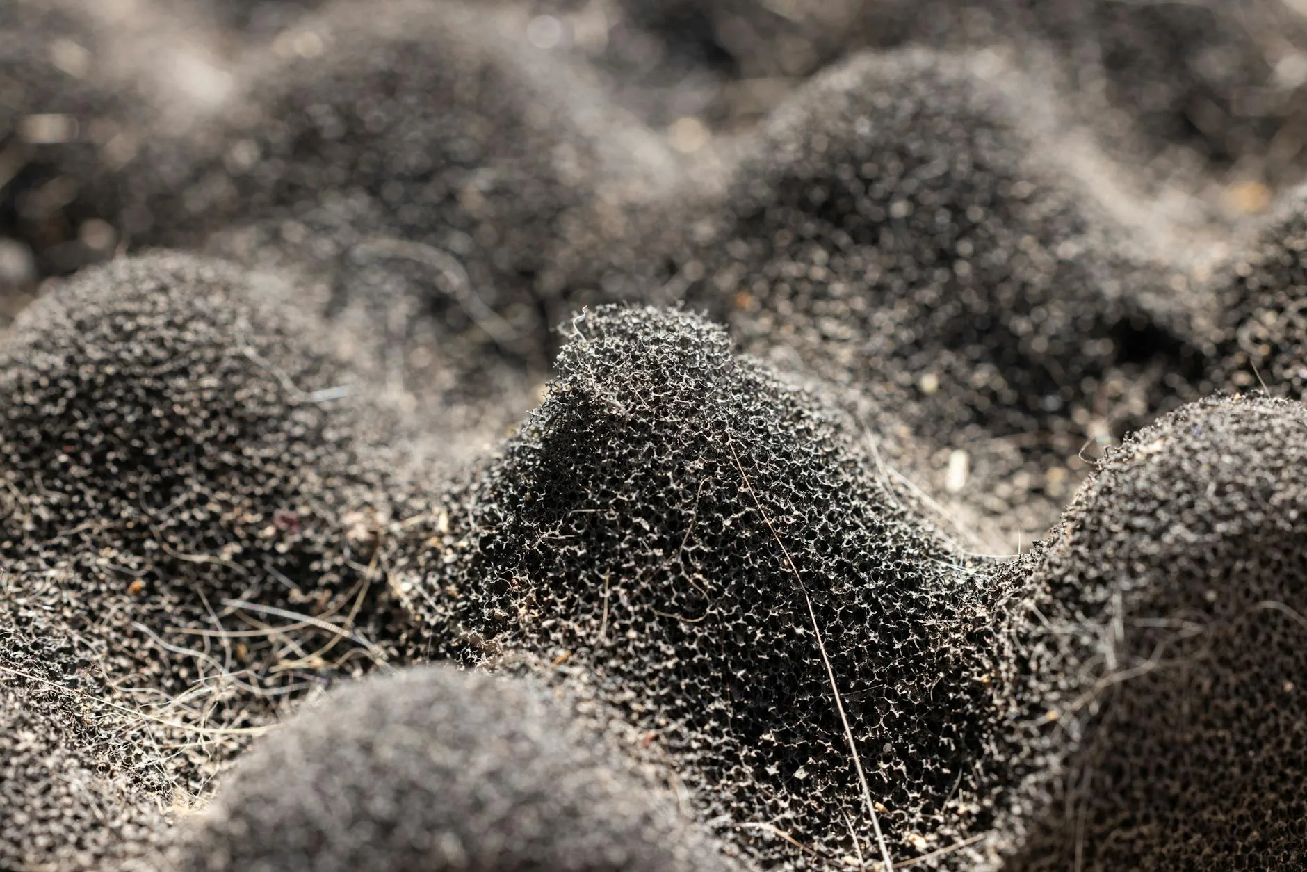 Close-up of foam material showing cellular structure
